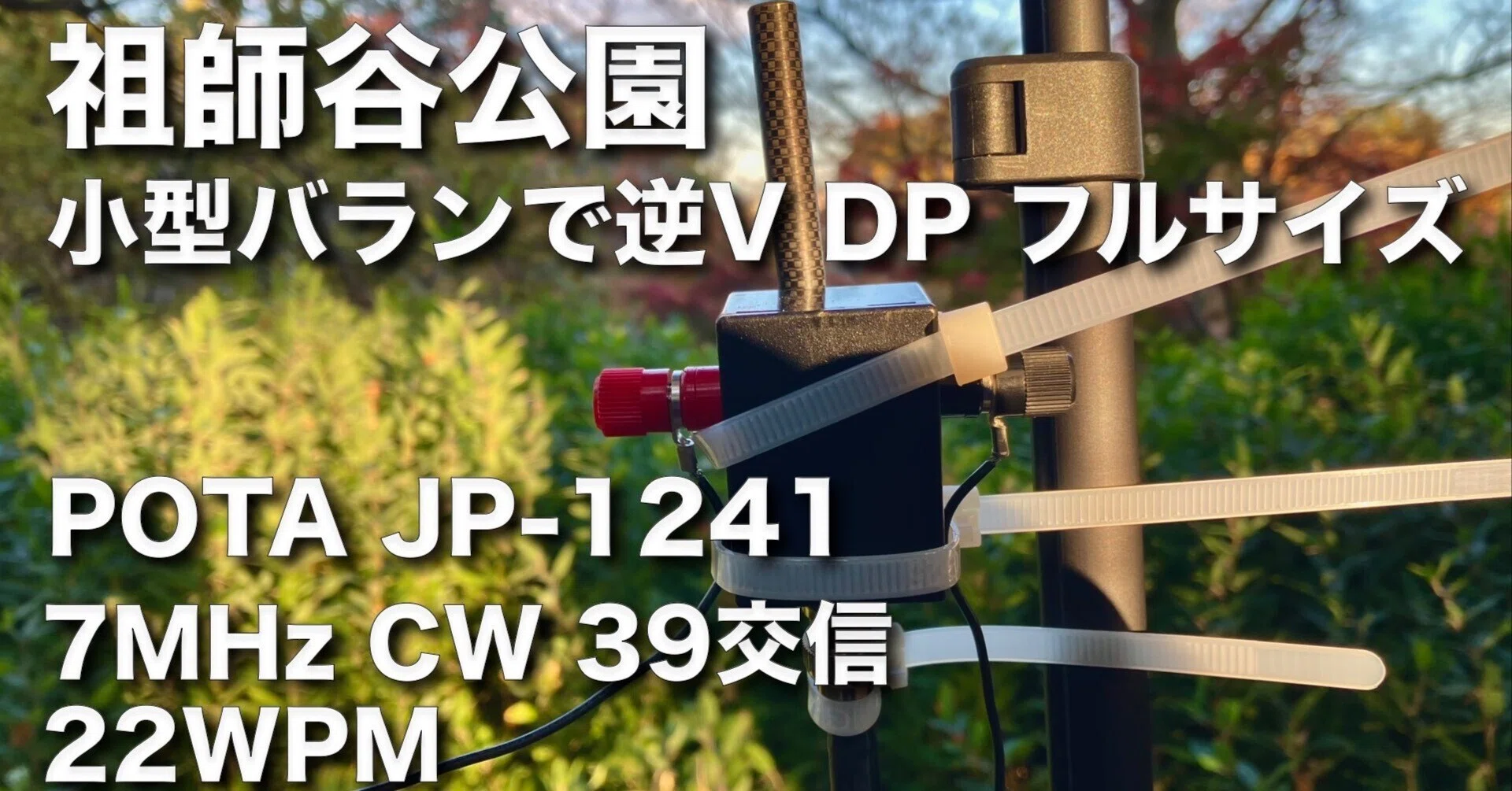 フルサイズ逆V型ダイポールアンテナを張ってCW交信・よく聞こえ よく