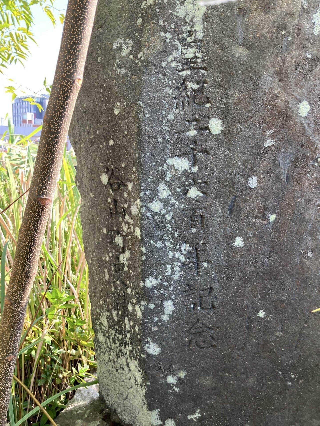 図録 薩摩刀 波平 鹿児島県歴史資料センター黎明館企画展 薩摩刀 武の