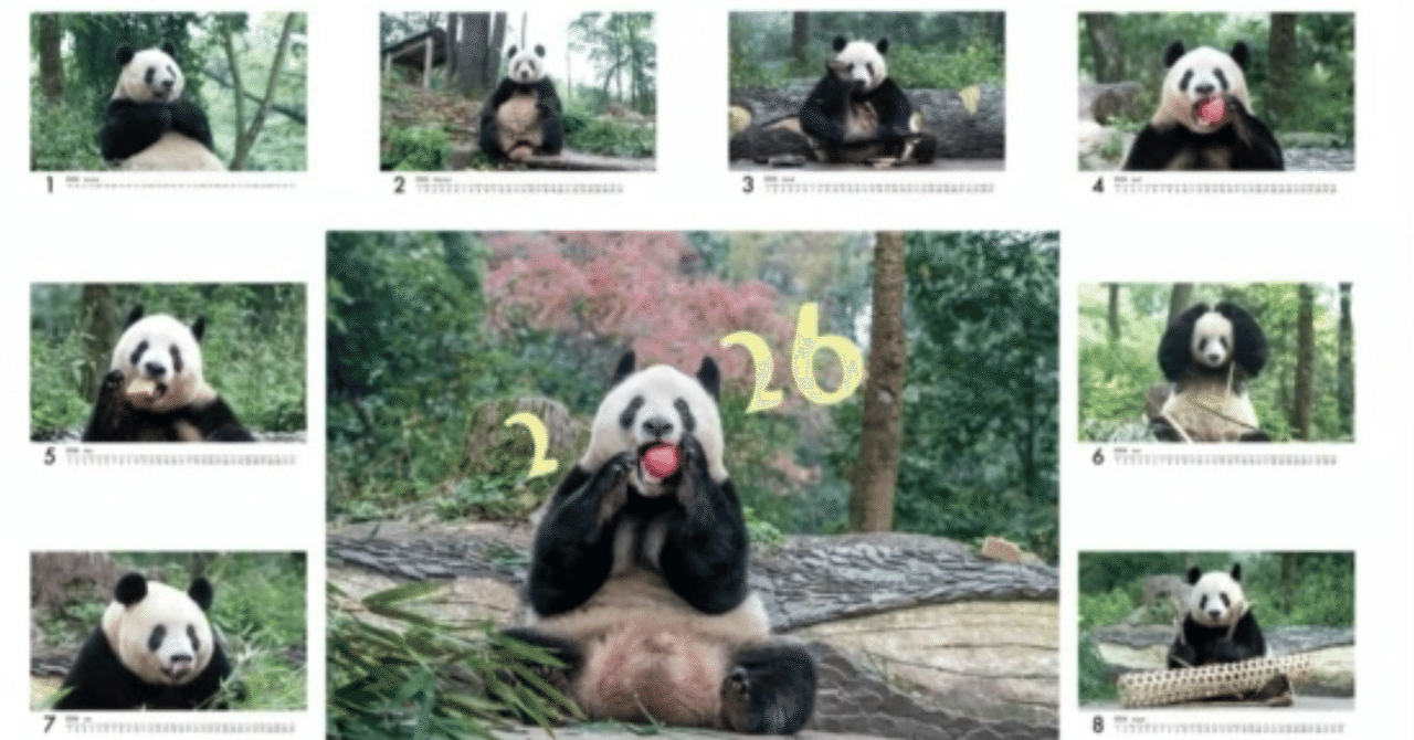 シャンシャンのカレンダー2種新発売！｜上野案内所