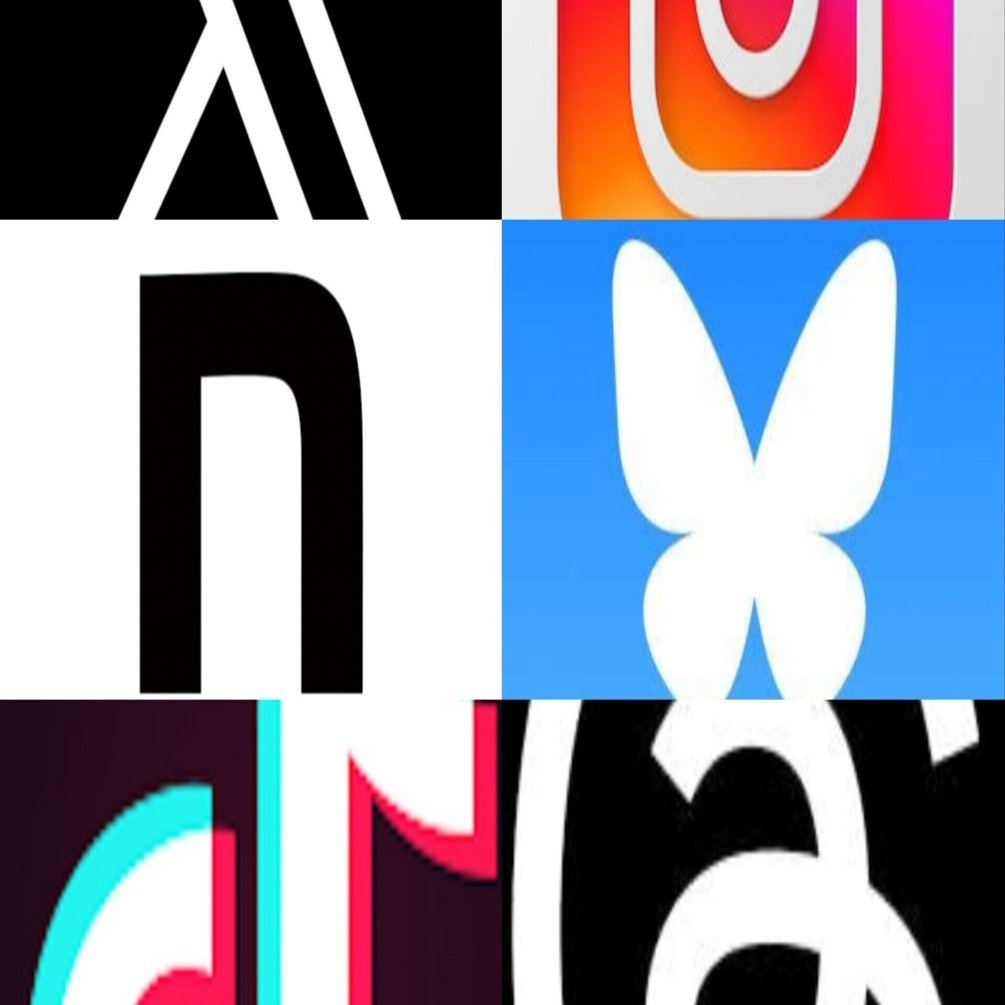 SNSフォロワー数の推移と軽い感想｜X・Instagramなどの活動記録｜5/31〜10/31｜EIKATSU