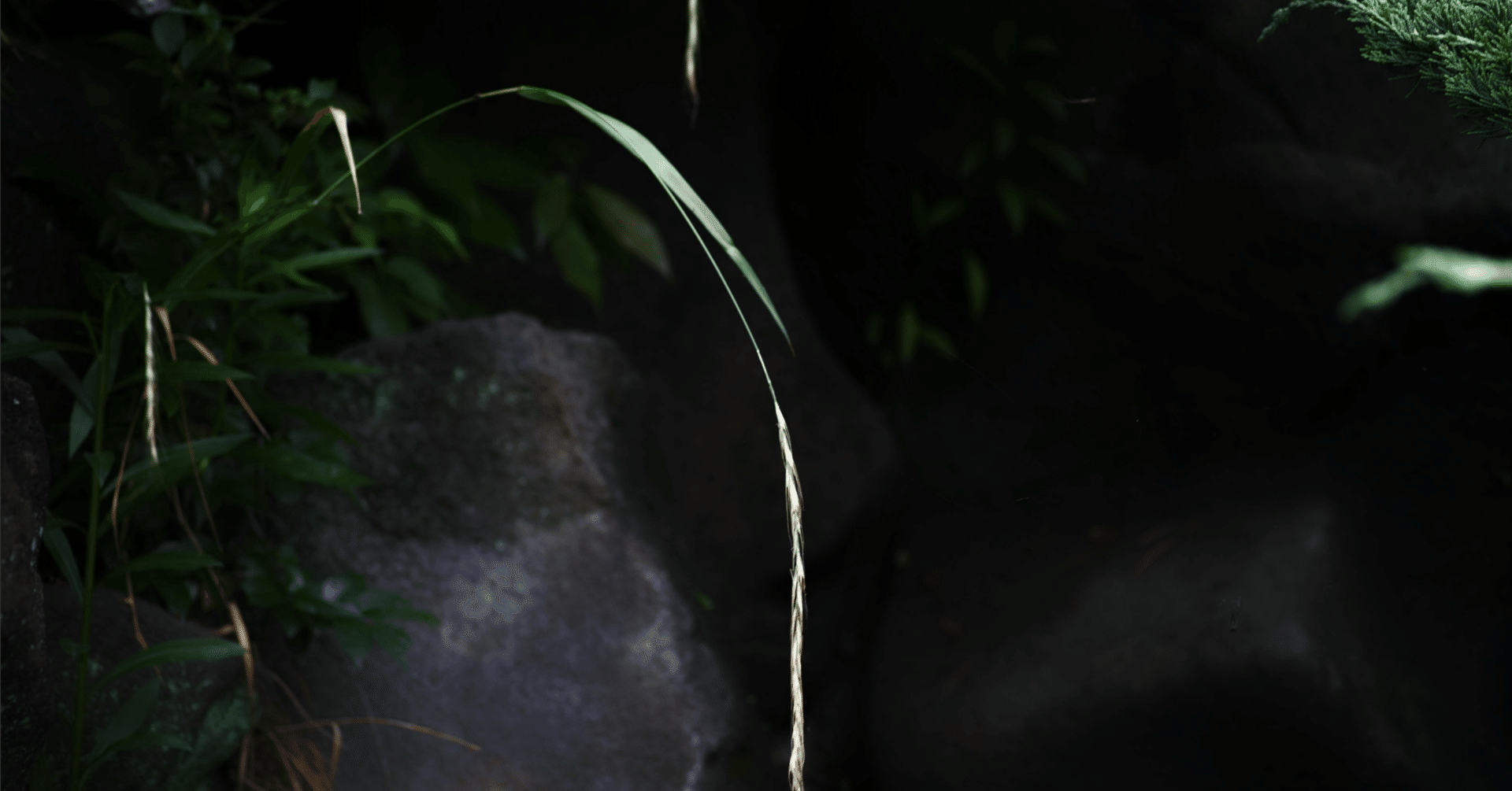 詩/暗くなる前に家を出よう｜道化零匹狼, image size:1920x1005