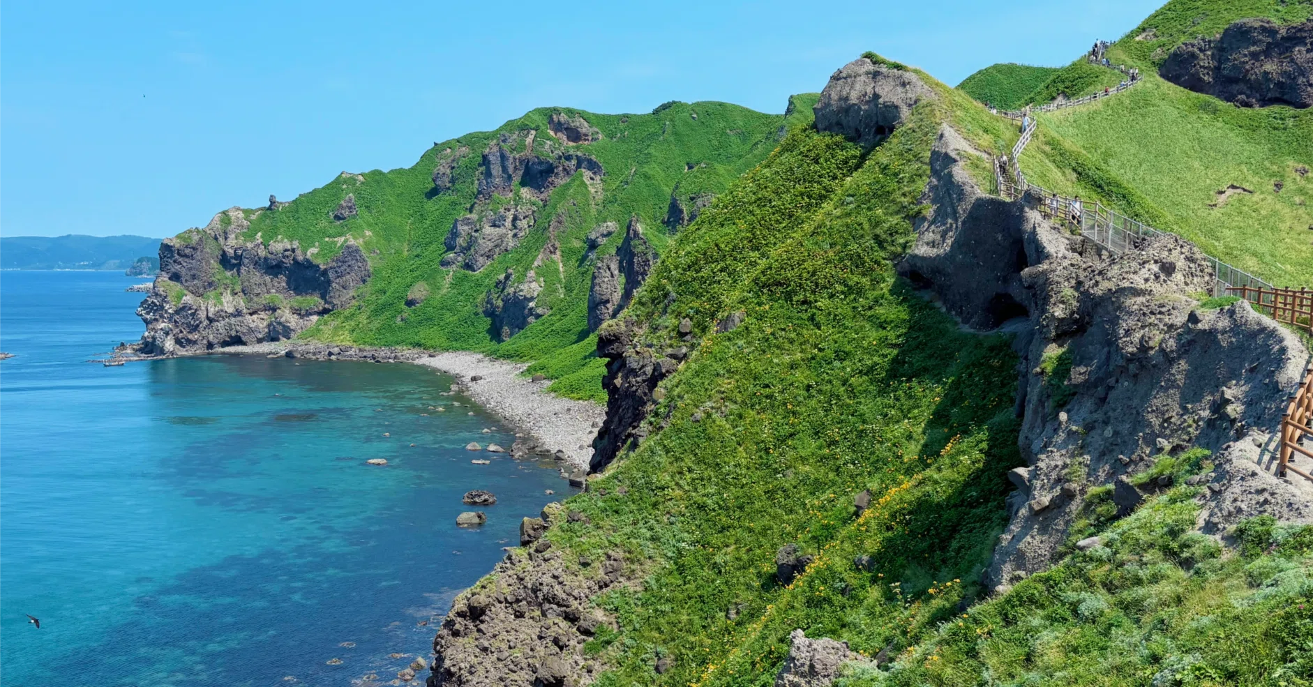 石黒連州の本 2025.06 ウニとエゾカンゾウを巡る旅⑦積丹半島・神威岬｜tama