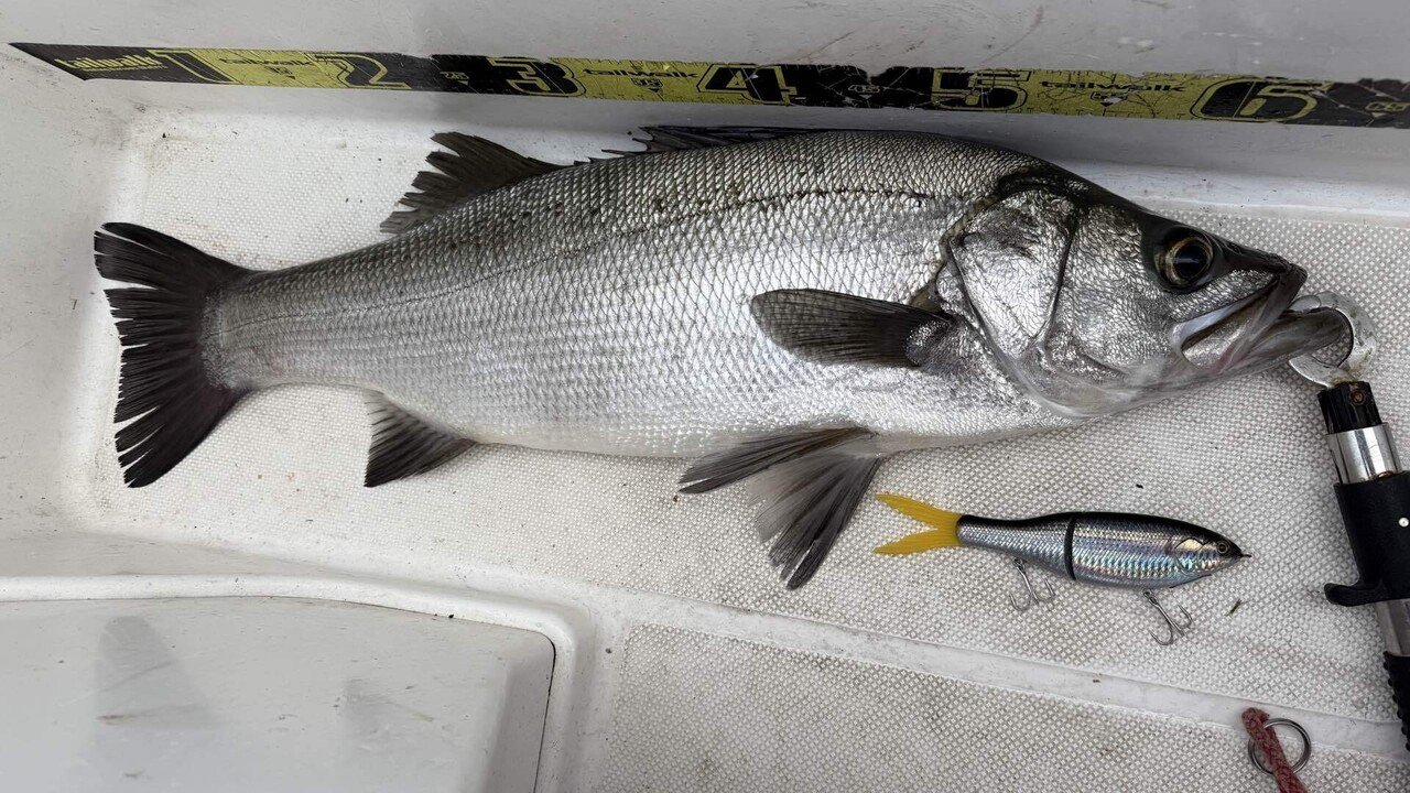 沢山釣れたけどビッグベイトは少しだけ（25/11/20）｜teruki1997