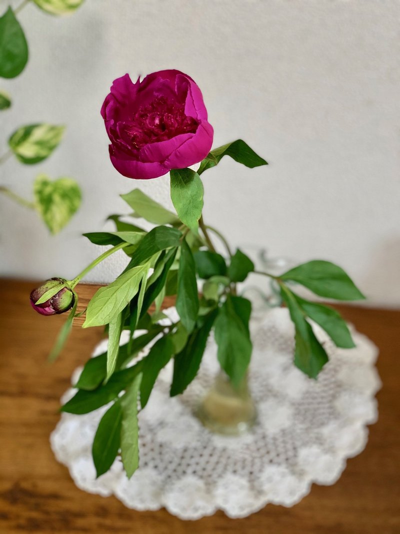 蕾の中に無限の可能性が広がる 開いてびっくり お花の中は小宇宙 Yoko Astrologue Note