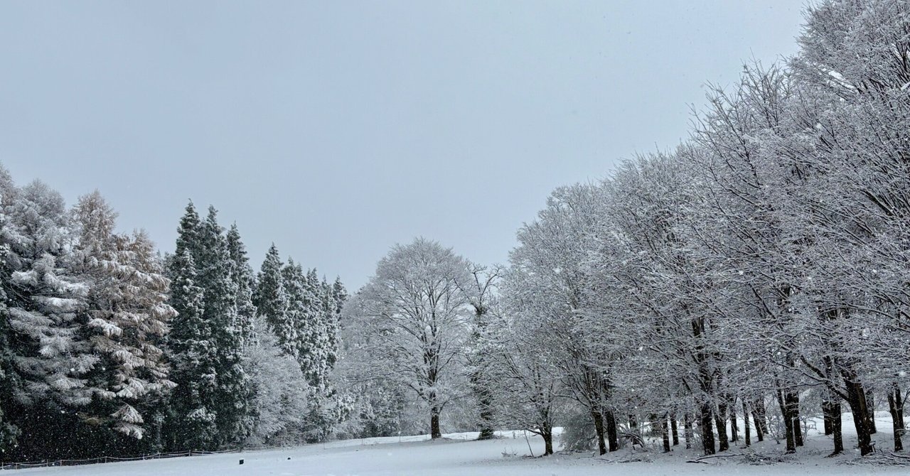 秋田県、今季最初の雪景色❄️｜ぽんちょ