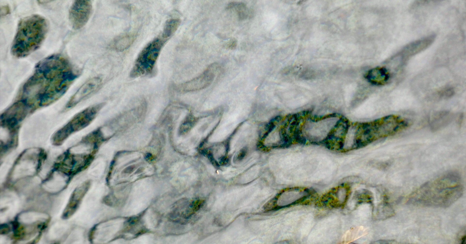 生きること｜KAZE