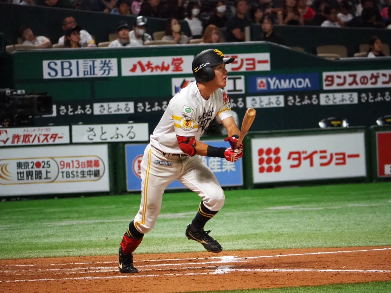ソフトバンクホークス 勝連大稀 #130 バット NPBマーク 支給品 実使用