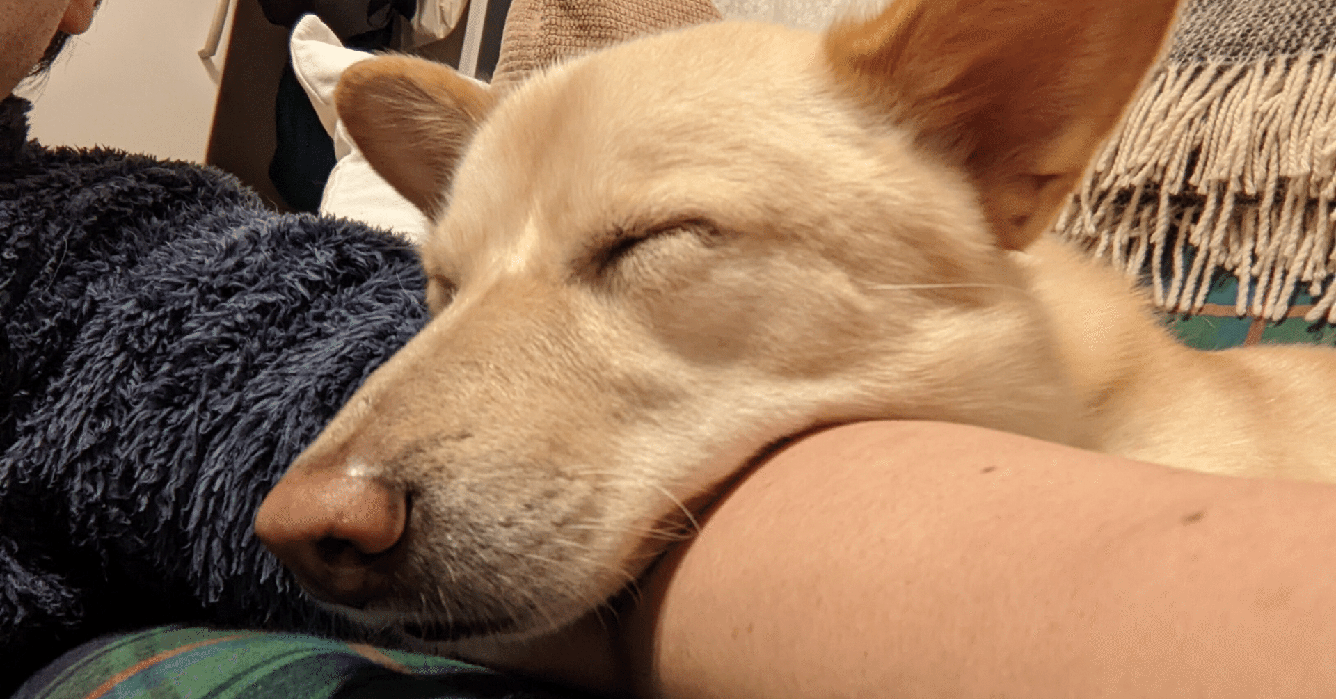 4スタンス理論で「あごを引け」はNGなのか（実践編）｜坂本優一(4