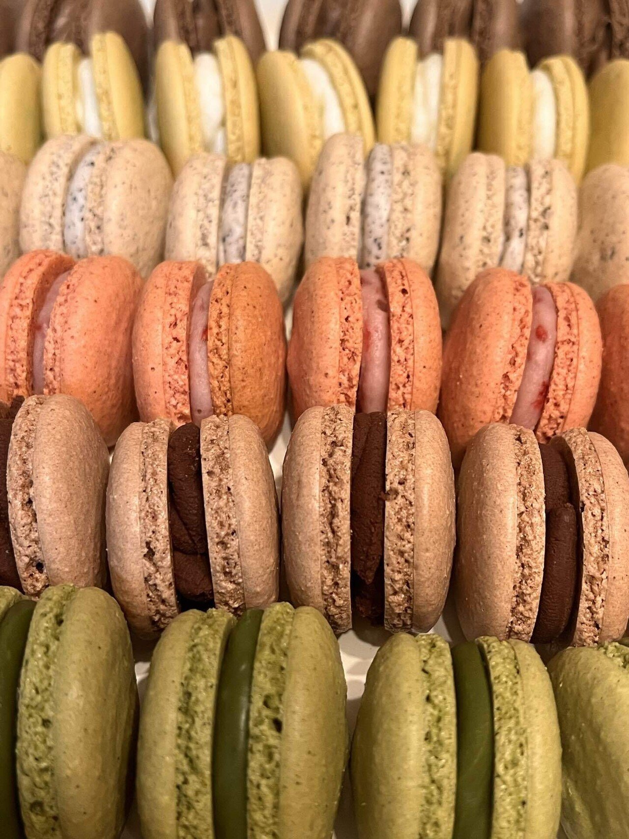 マカロン　プロフ必見ページ メッセージカード SWEETS BOX パープル/マカロン | PROGRAF ONLINE-