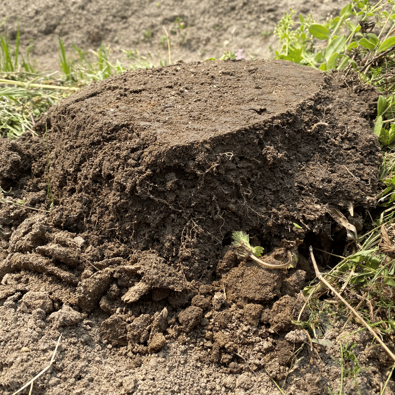 Vol 11 ネギ鞍を作る ころの庭 ー自然菜園とハーブとアロマー Note