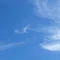 はるもも おおか