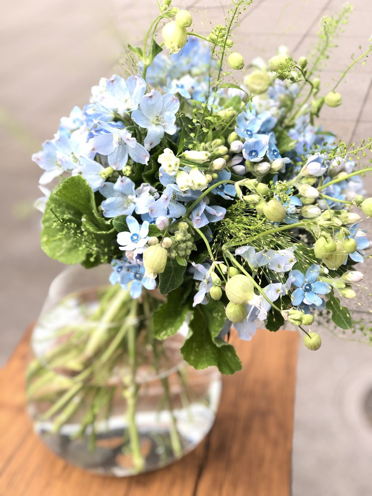 花図鑑 ブルースター はこねフローリスト Note 花図鑑 ブルースター はこねフローリスト Note