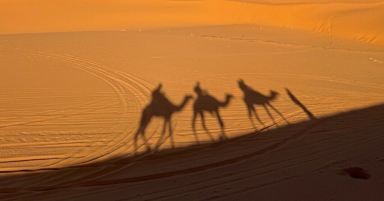 超貴重品　モロッコ砂漠で採取　現在輸出禁止です。 帰国レポート】幻想のモロッコとラ・マムーニャの旅 | 旅のひろば