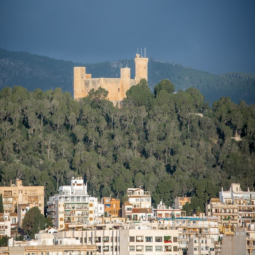 パルマ デ マヨルカ港 Zenpaku Note