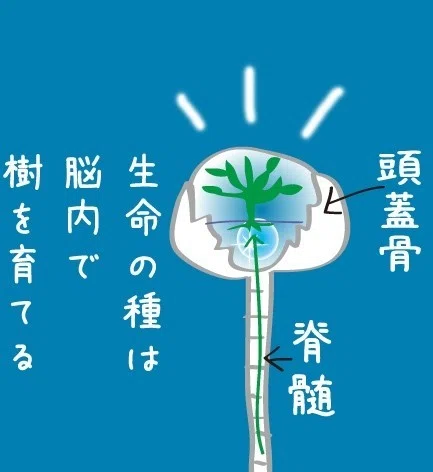 生命のたね