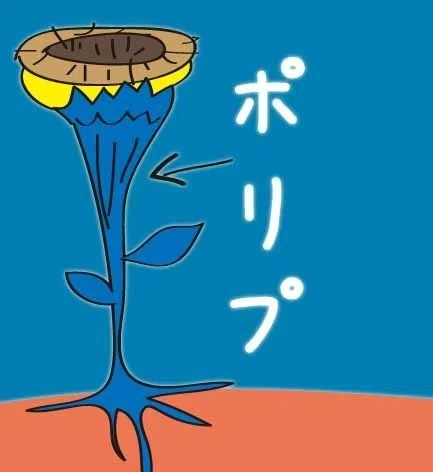 ぽりぷ