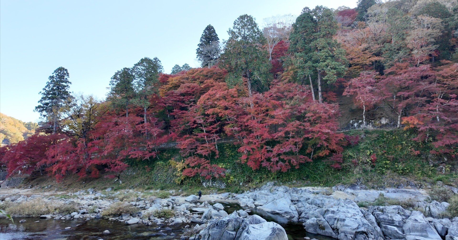 香嵐渓】五色もみじともみじのトンネルを歩く紅葉さんぽ｜Masami Ikawa
