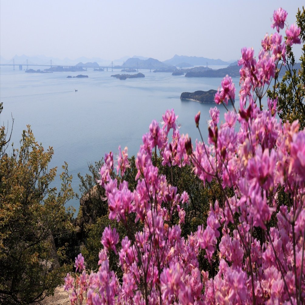 173．風景を栽える｜sasayan