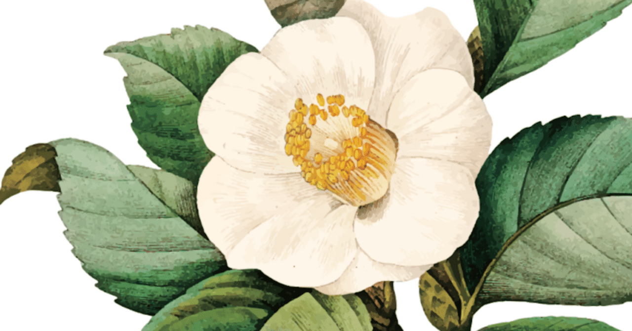 12月の花：冬も華やかな日本｜Hiragana Times 編集部