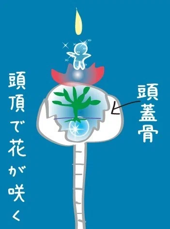 画像11