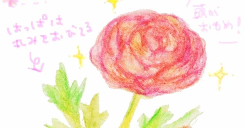 薔薇とラナンキュラスの見分け方 Arisyano Note