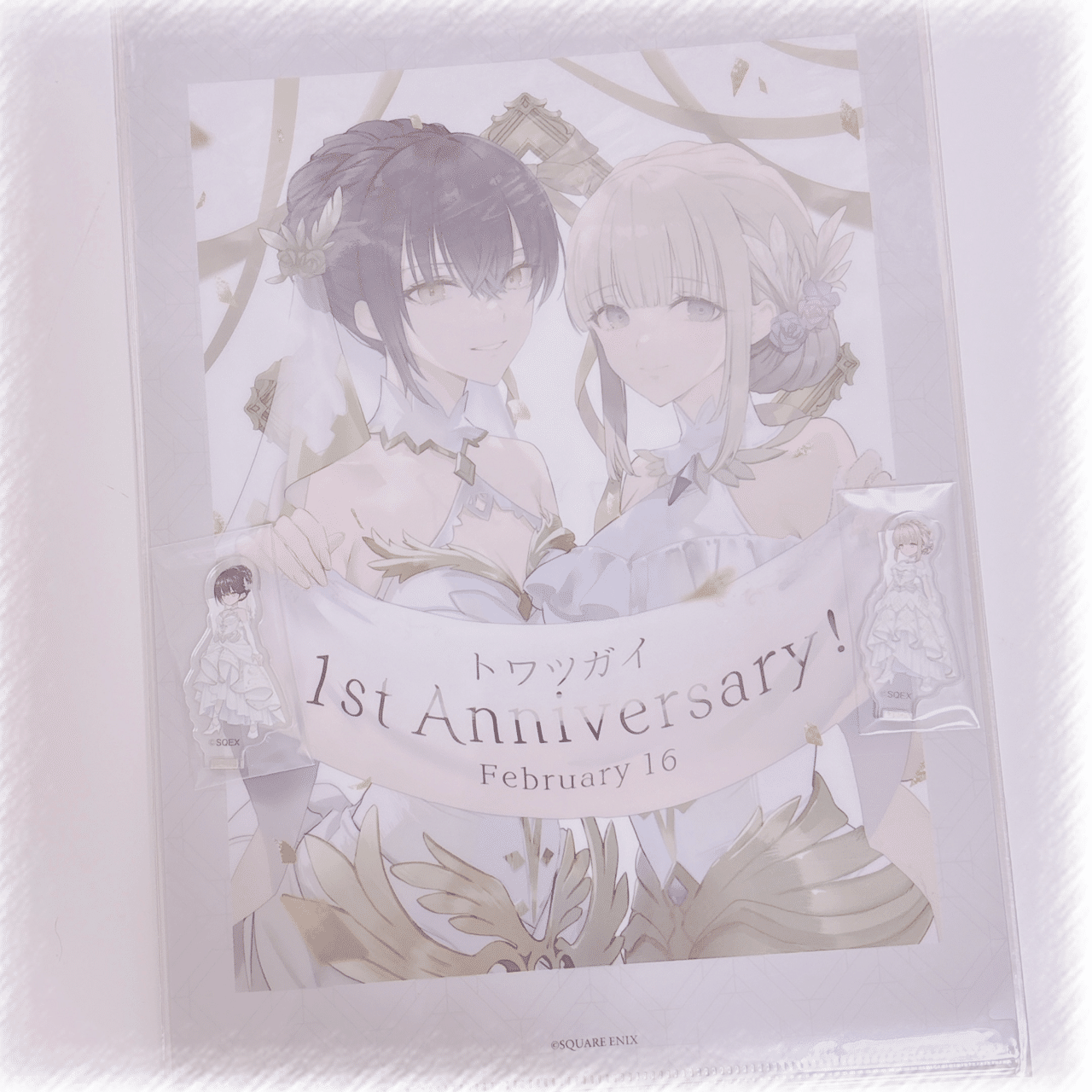 ̩͙꒰ঌトワツガイ 雪醒先生サイン入り クリアファイル໒꒱·̩͙⋆.*｜𓅓