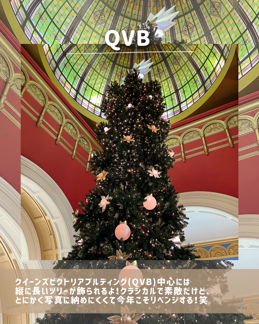 [Selected by Residents] 6 Christmas Trees to See in Sydney City ...