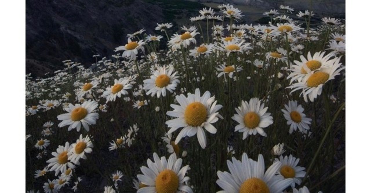 自然が美しい映像美で心浄化 映画3選 M Note 自然が美しい映像美で心浄化 映画3選 M Note