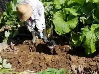 【噂】 根 掘り 葉 掘り 2026年最新芸能速報 #781