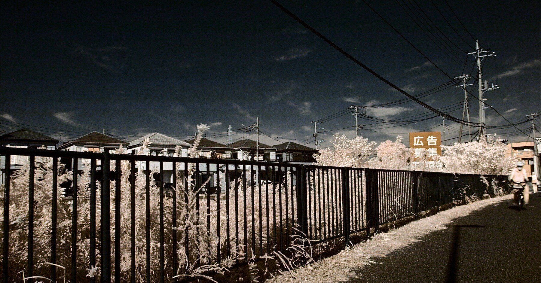 写真にタイトルって、本当に必要？――僕が“個別作品の題名”を付けない