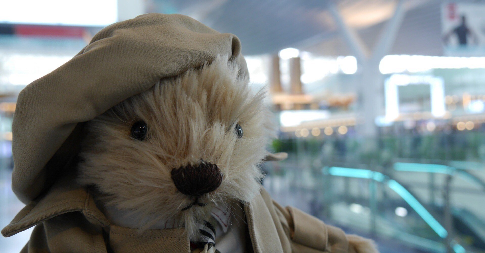 くー誕生まで～一人旅が寂しい？ならテディベアを連れてけばいいじゃ