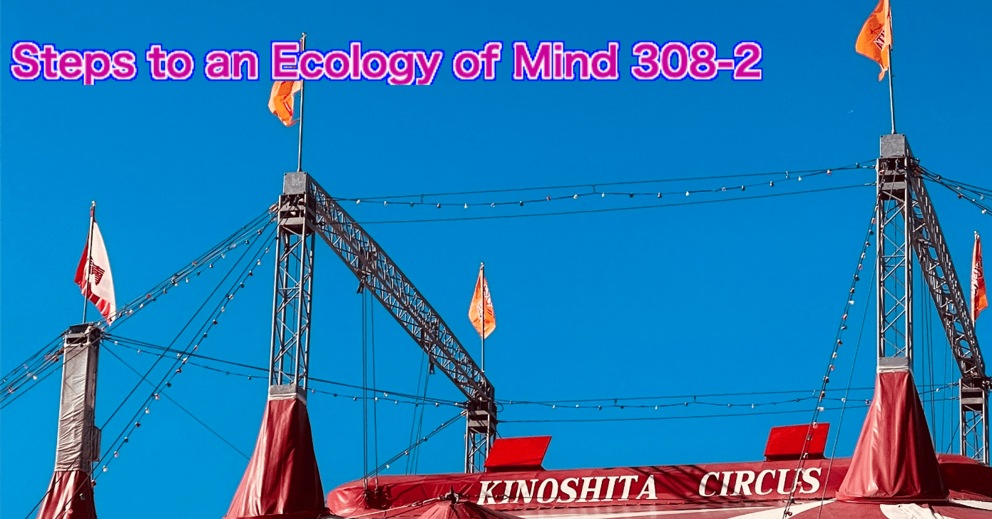 ベイトソンに試される308-2-『精神の生態学へ』第3篇 関係性の形式と病理8-2「学習とコミュニケーションの論理的カテゴリー」  1968,1971-｜hiroshi nagano