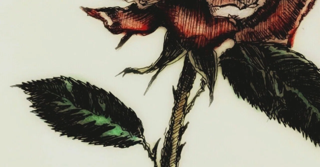 薔薇』ボールペンと色鉛筆画｜せきぞう、