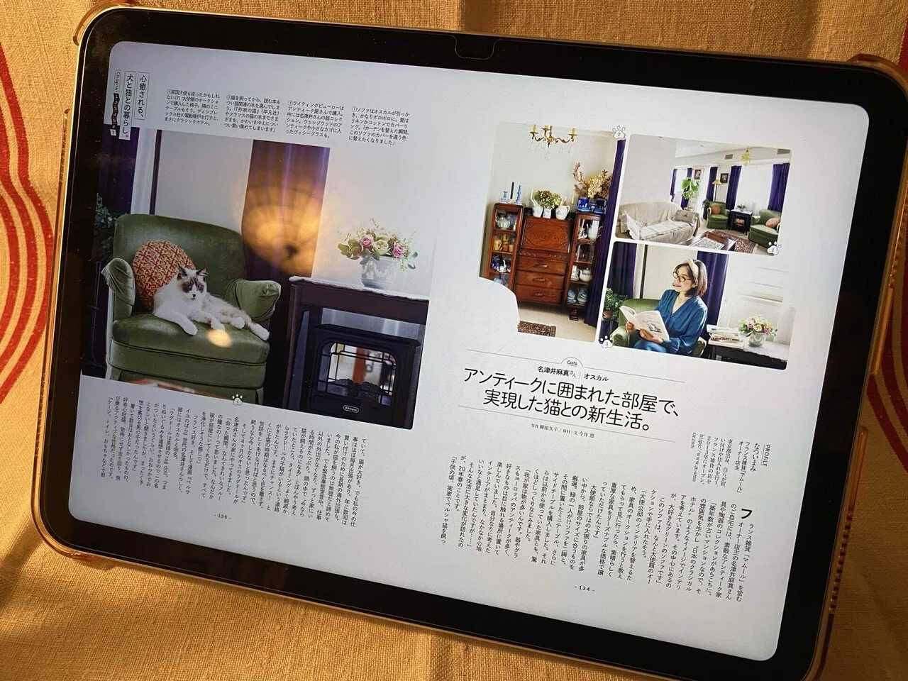 iPad A16と約1ヶ月暮らしてみて｜めいこ＠旅するボタン屋