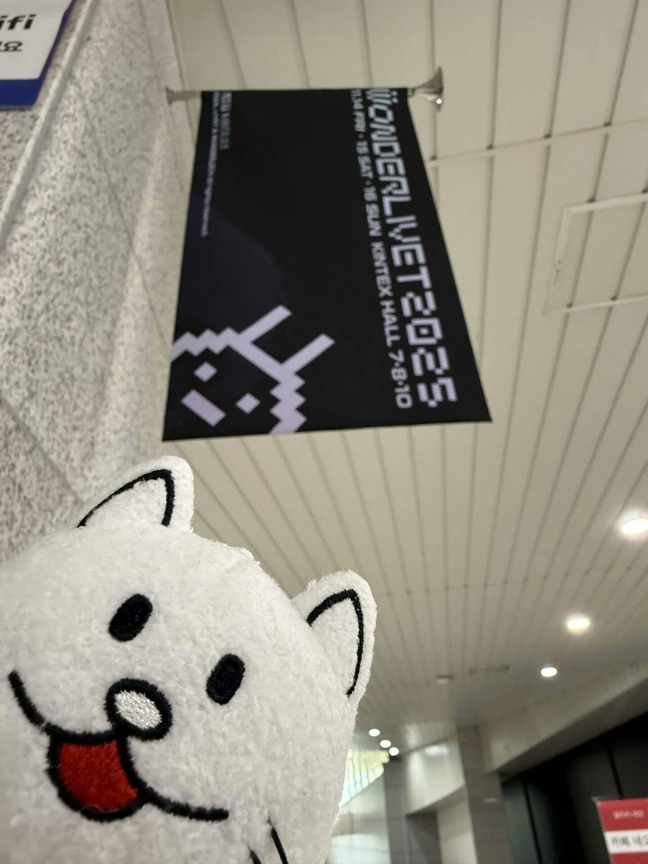 WONDERLIVET 2025 BUMP OF CHICKENレポ｜りゅー