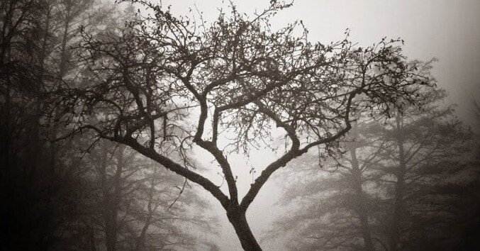 本日の一曲 vol.839 メリー・クレイトン：ギミー・シェルター (Merry