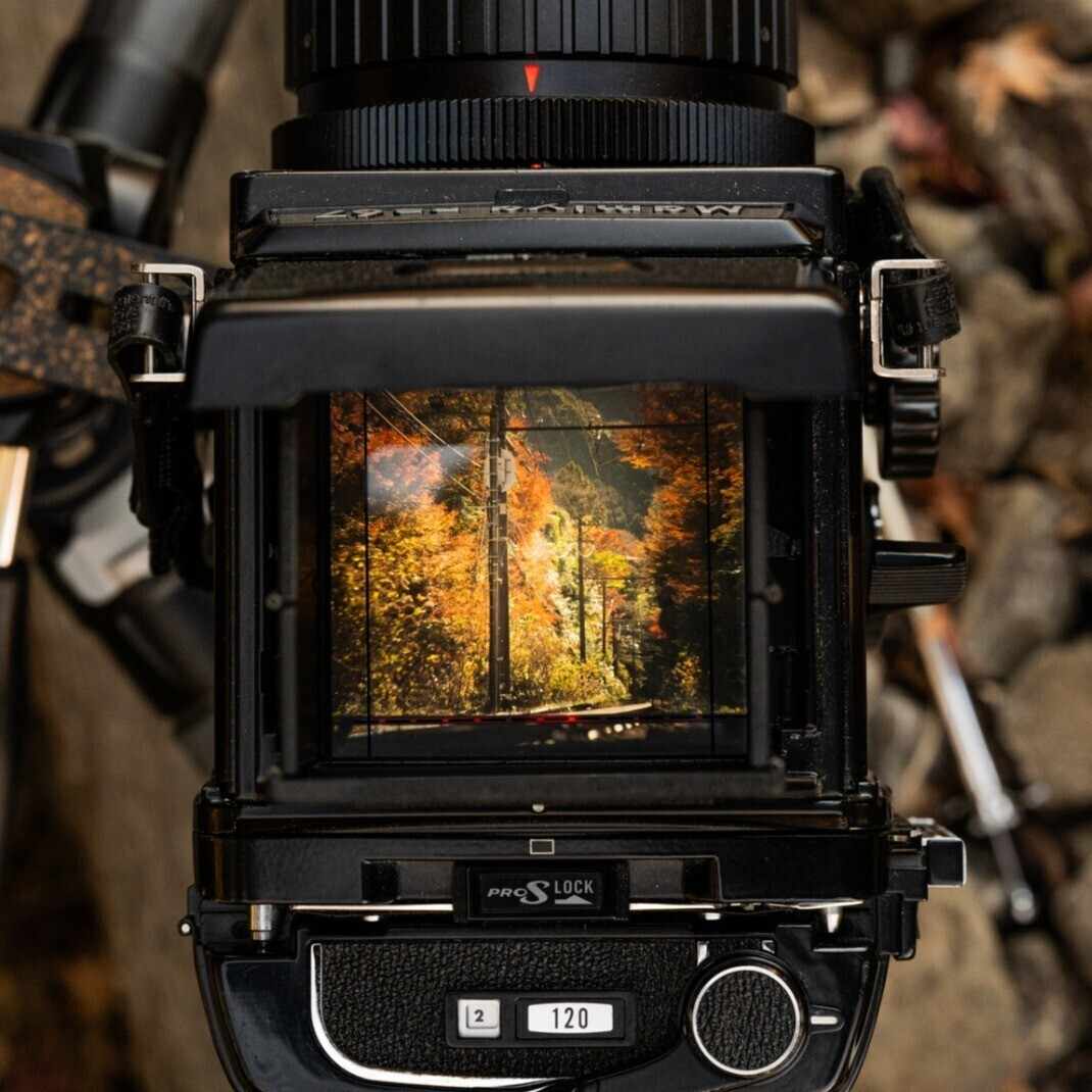 80万円のNikon Z9を使う現役大学生私が、あえて今「フィルムカメラ」を