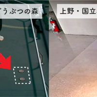 ラブソングはどれくらいが 片思い で どれくらいが 両想い なのか 洋楽と邦楽比べてみた まいしろ Note