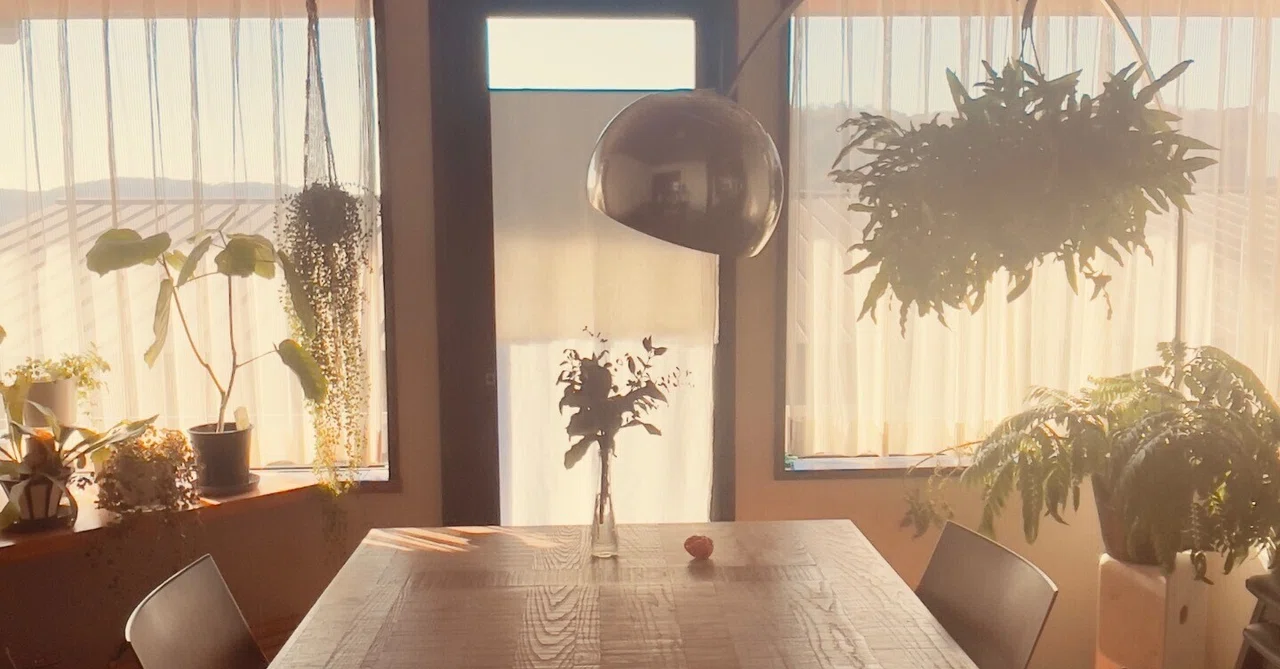 🌿Vol.23 | When your worldview changes, life begins to move quietly｜ライフ ...