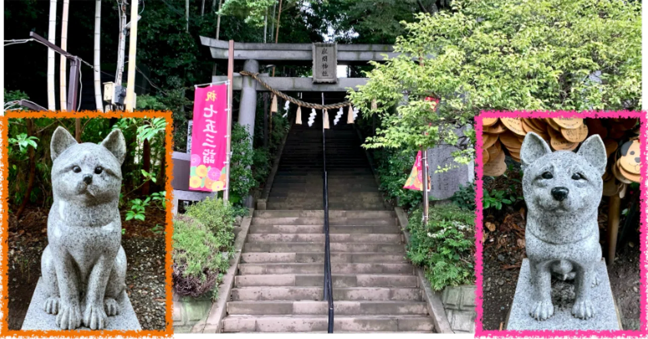 神社訪問記：座間神社｜日本唯一のペットのための境内社｜ほぼ63世