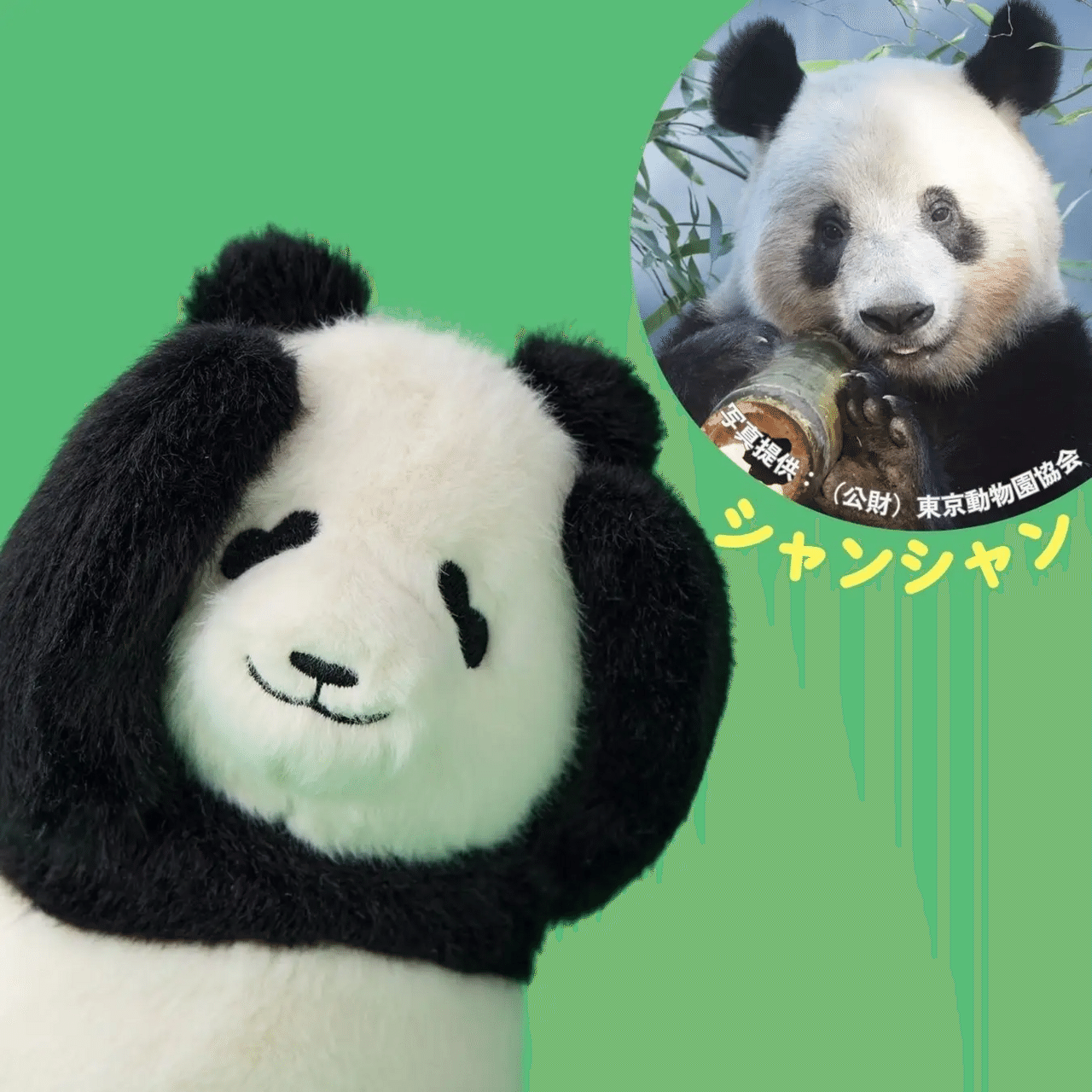 YOU+MORE!」がシャンシャン・シャオシャオ・レイレイをモチーフにした