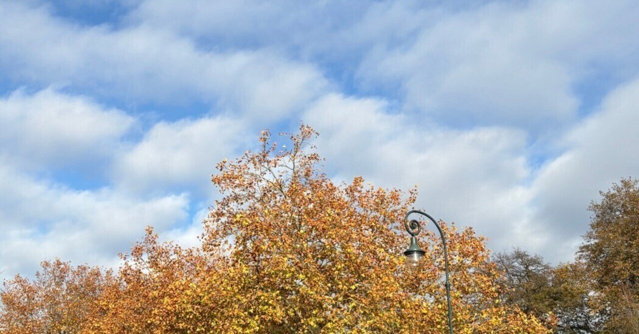 「数学は役に立つか?」より大事なこと|加藤文元