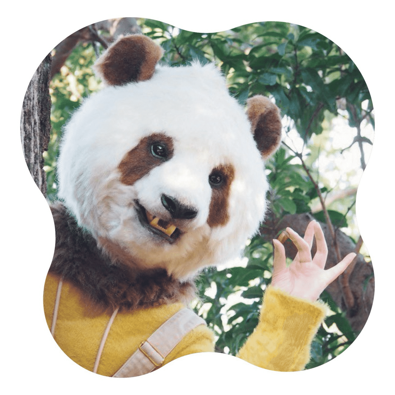 YOU+MORE!」がシャンシャン・シャオシャオ・レイレイをモチーフにした