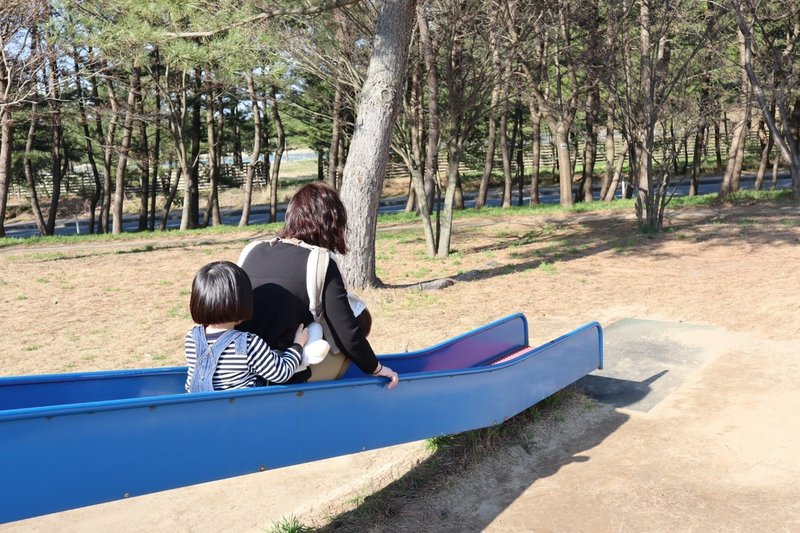 やっぱり 事前連絡と ととこ で焼き鳥は必須だったって話 山形県鶴岡市の郷土料理もちょっと紹介 かじー 山形 フォトログメイン Note