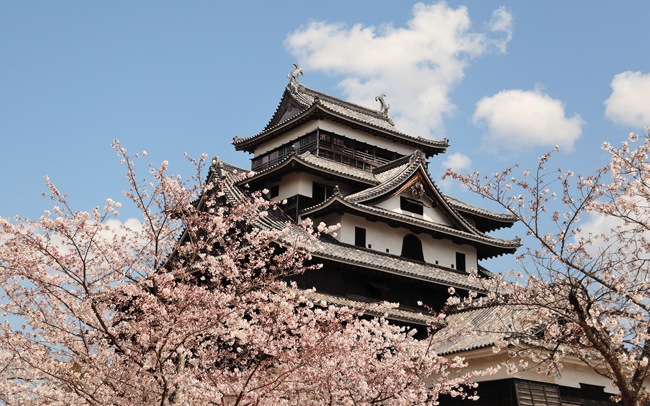 高画質 松江城と竹島資料室の桜 Keitaro Kitagaki Note