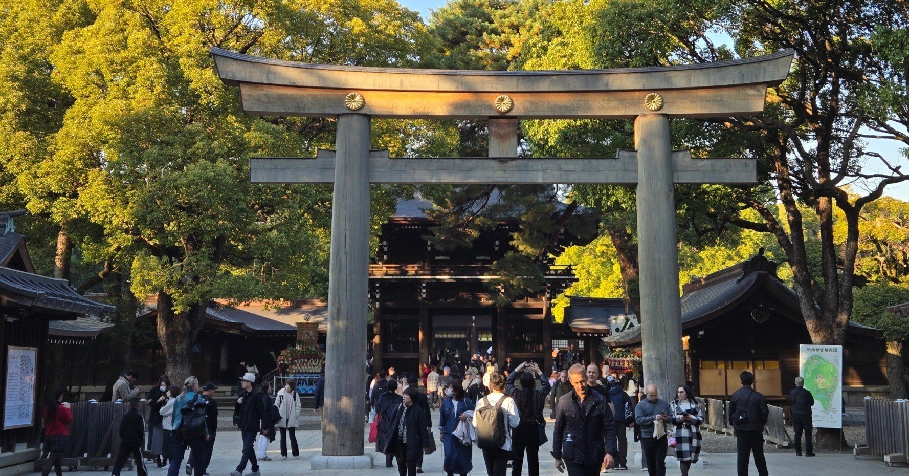 6fdb3dc8952709067f79a92baf13a1