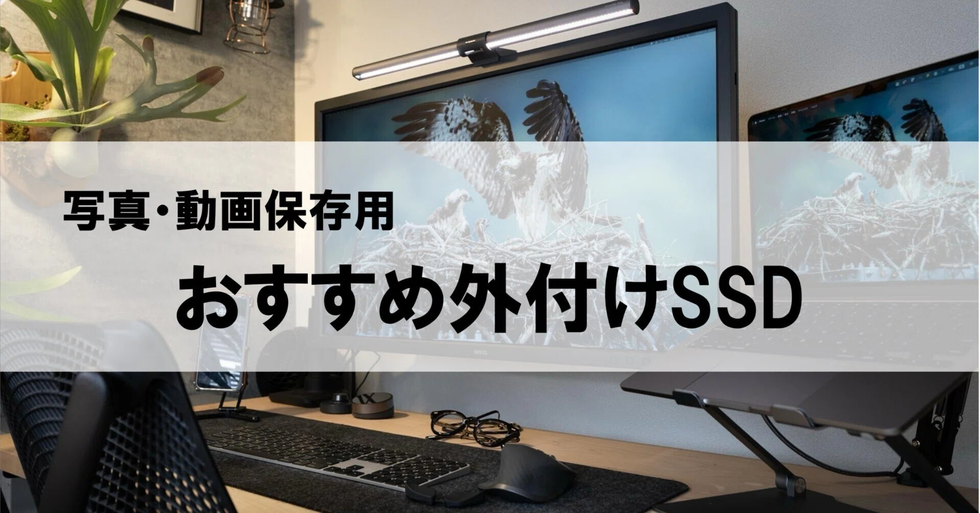 大容量❤️SSD❤️動画も写真もたっぷり保存❤️Windows11❤️ 写真/動画保存用】おすすめ外付けSSD｜Kogame