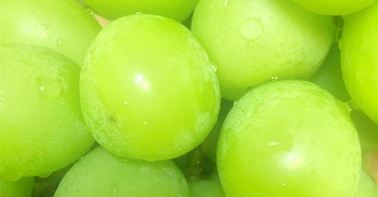 The story of how the Shine Muscat from Fujiyoshida was just too ...