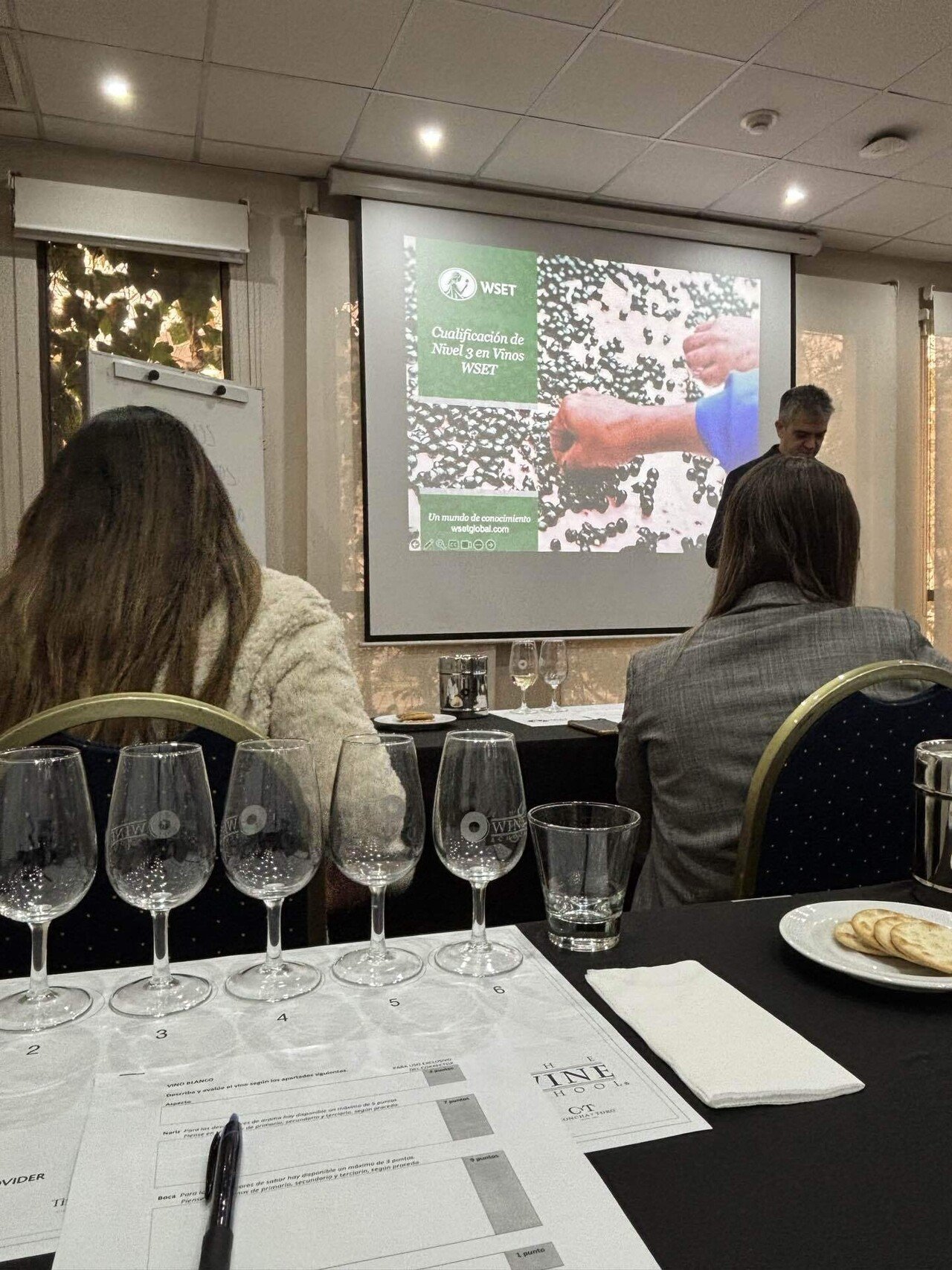 チリで国際ワイン資格 WSETレベル3を受けてみた｜Aya