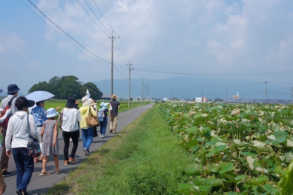 極楽浄土に咲く花！蓮の実薬膳ごはん＆花見ツアー～薬膳ごはん試食、蓮の葉で象鼻杯、蓮の花持ち帰りまで～2